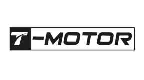 T_motor