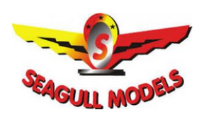 seagull