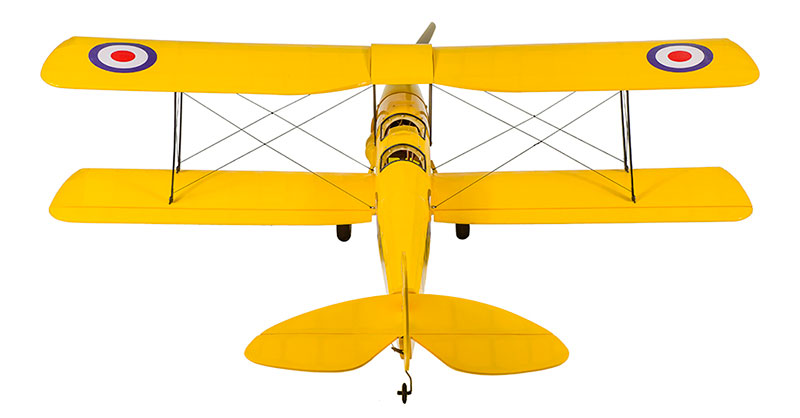 Tiger Moth 800mm ARF