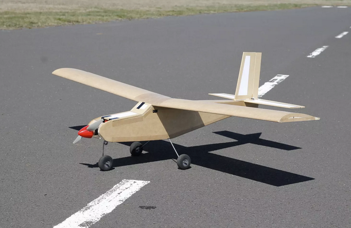 Avion AirLife Ambisagrus 1400mm en kit à construire Kits à construire