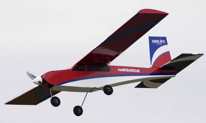 Avion AirLife Ambisagrus 1400mm en kit à construire Kits à construire