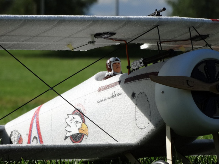 NIEUPORT 17 EPP 1008mm Va Models Warbird