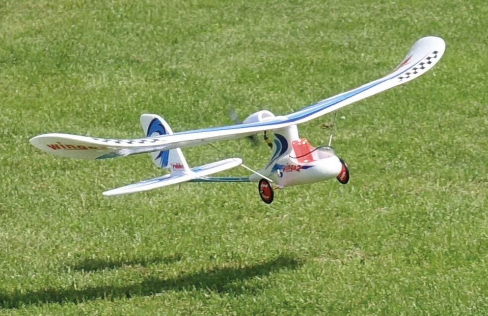 Wingo 2 1100MM PNP Robbe