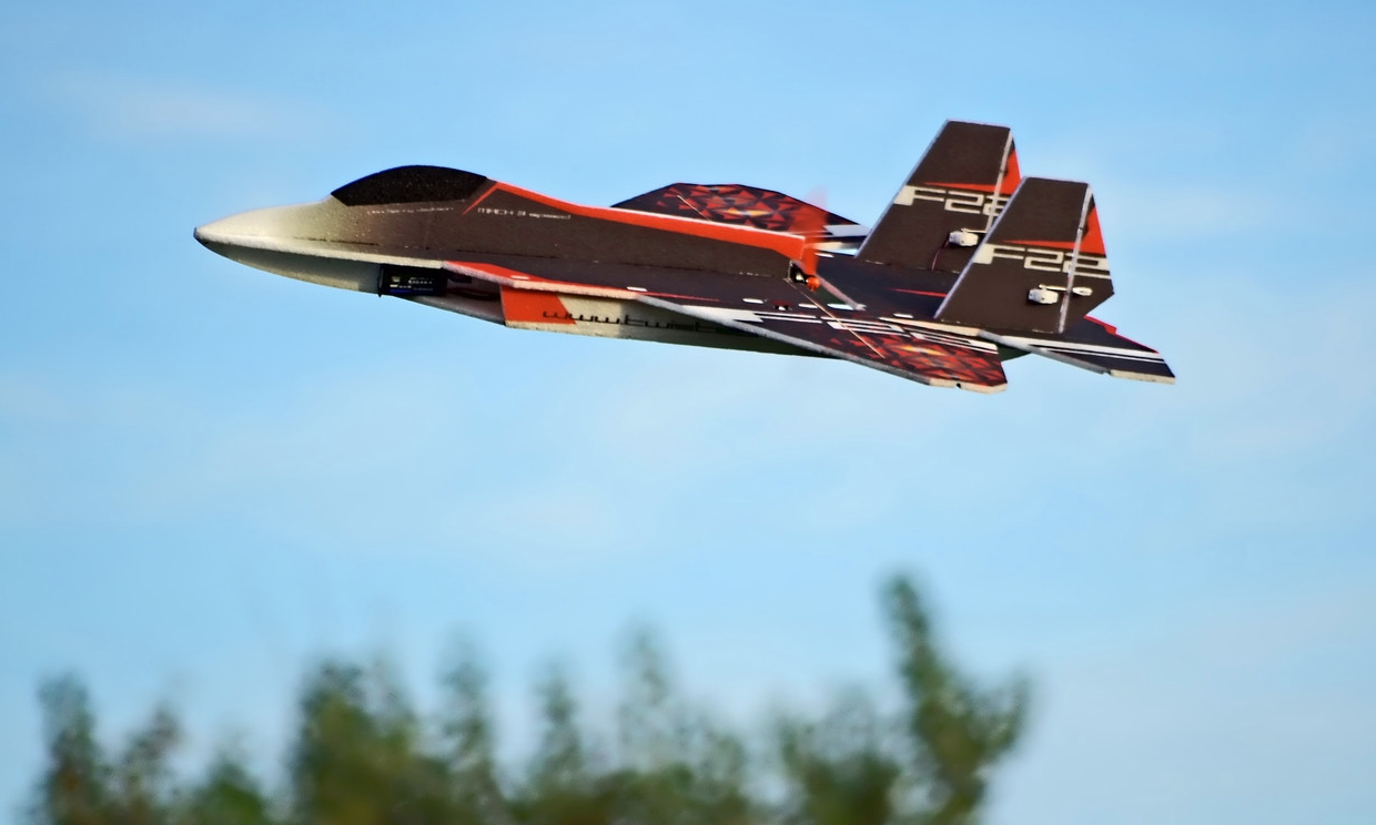 F22 Raptor EPP 730mm Rc Factory  Jet