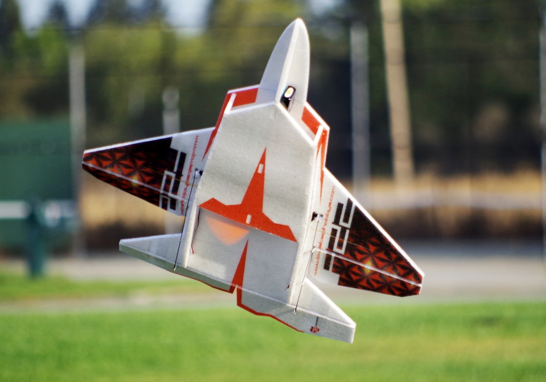 F22 Raptor EPP 730mm Rc Factory  Jet