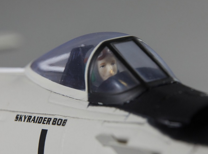 Warbird A1 Skyraider gris PNP 750mm Derbee Warbird