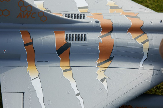 Rafale Gris-Tigre EDF 64mm PNP FMS Jet