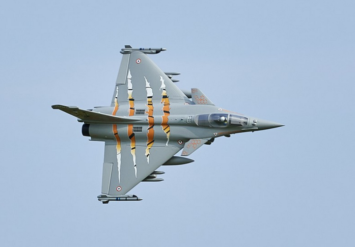 Rafale Gris-Tigre EDF 64mm PNP FMS Jet