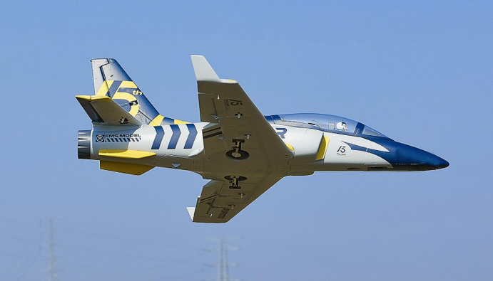 Jet Viper 70mm V2 15th Anniversary PNP FMS Jet