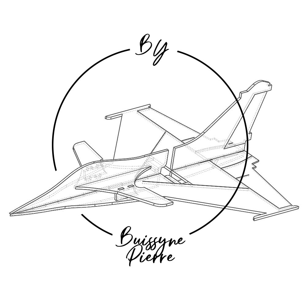 Rafale EPP Guixmodel 560mm Jet