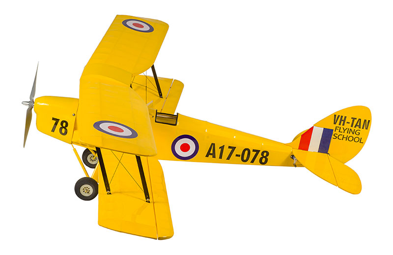 Tiger Moth 800mm ARF