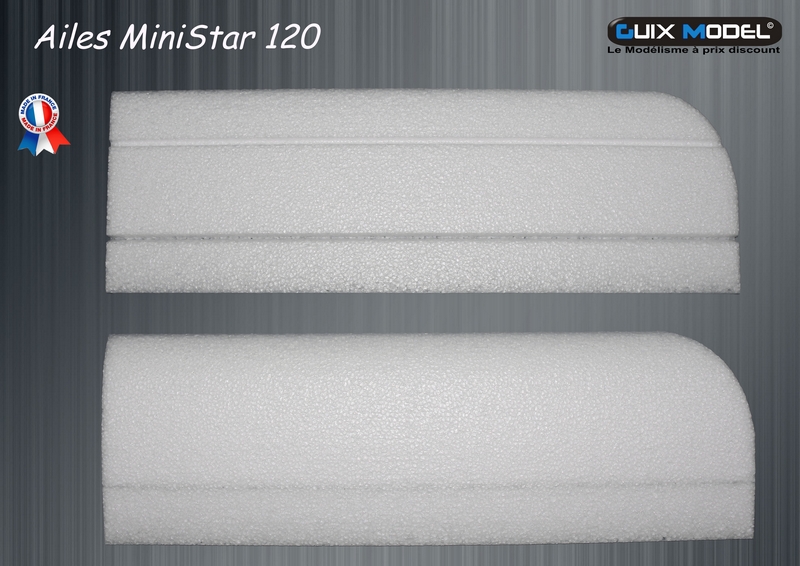 Aile EPP Ministar 120