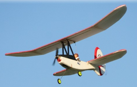 Pou du Ciel de Papy Solex EPP Débutant / Trainer