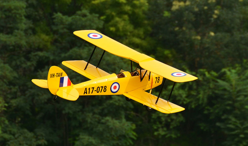 Tiger Moth 800mm ARF Voltige